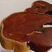 3-Leg Reclaimed Teak African Live Edge Coffee Table
