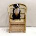 Kid's Woven Malawi Chair